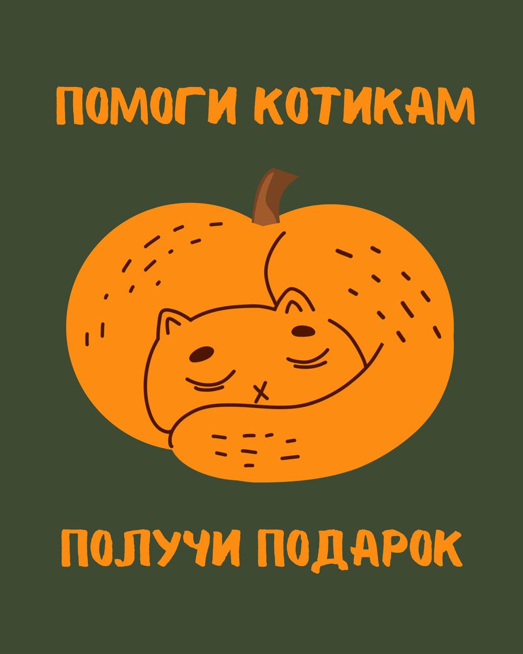 БЛАГОТВОРИТЕЛЬНАЯ АКЦИЯ ПОМОЩИ КОТИКАМ